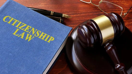 EU policy recommendation for CBI and RBI